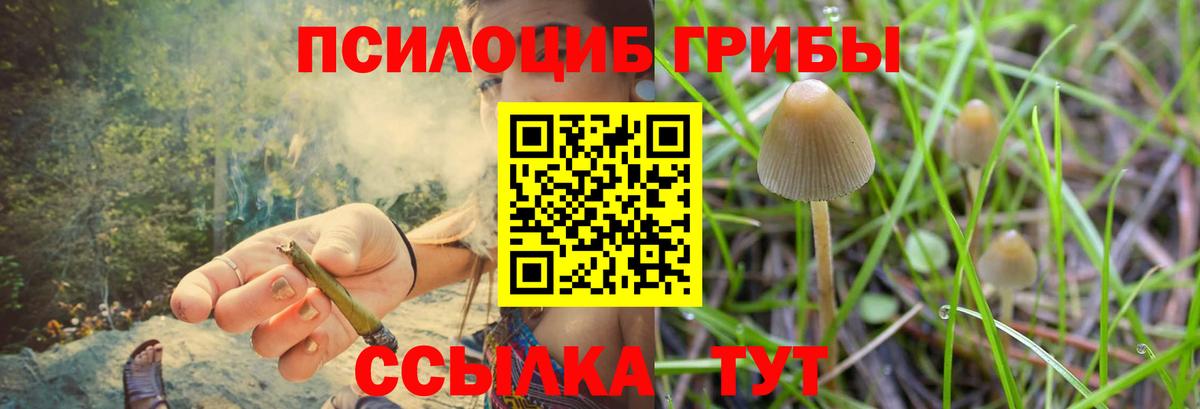 Галлюциногенные грибы Magic Shrooms Лабинск